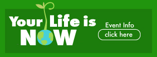 Your Life is NOW!